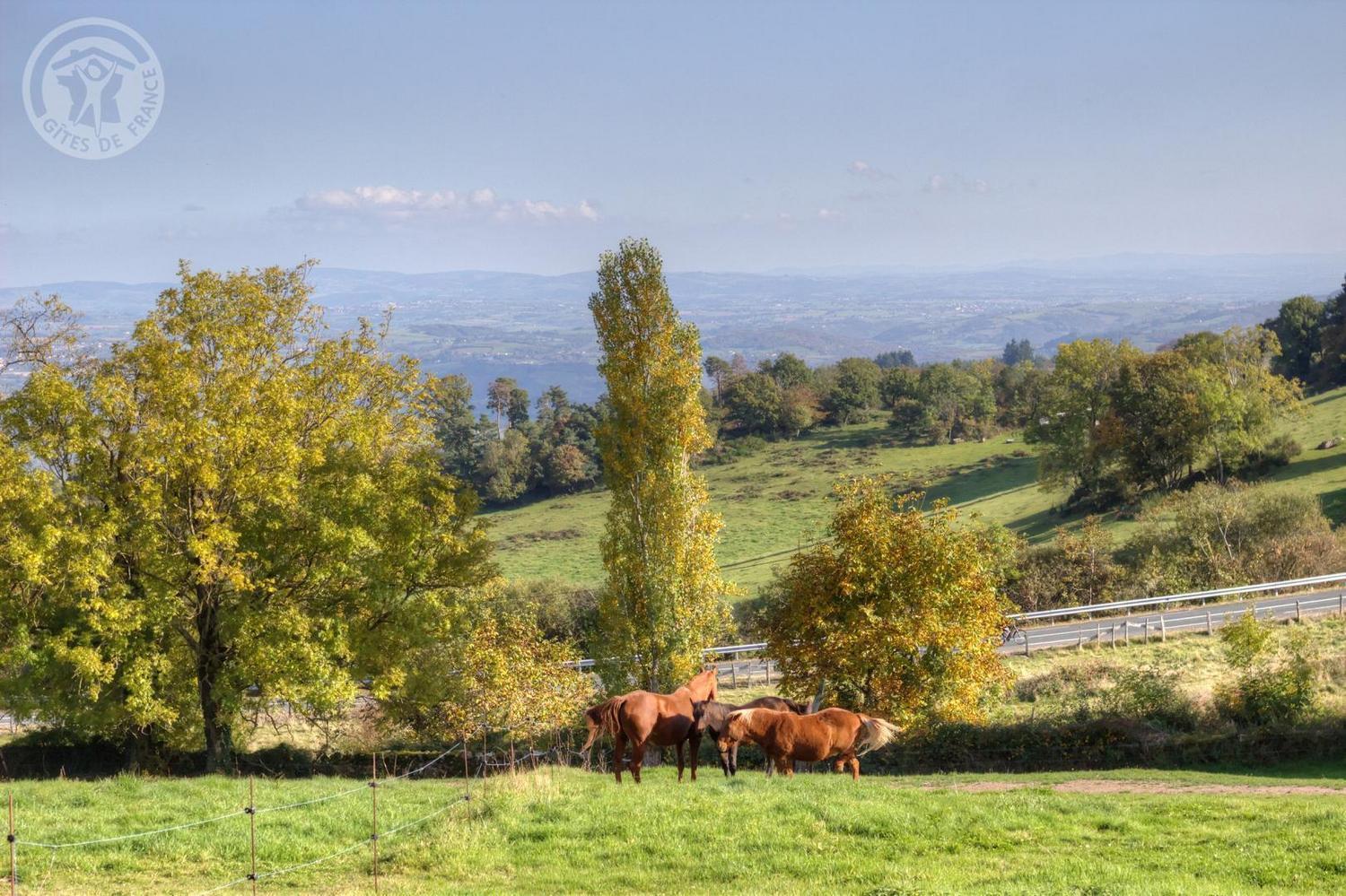 Bed and Breakfast La Ferme Des Galoches Villemontais Zewnętrze zdjęcie